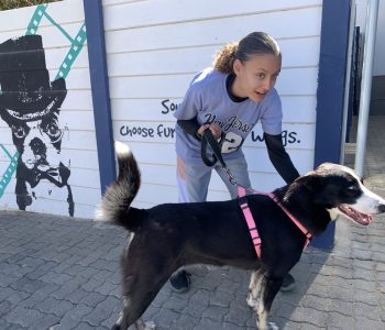 Adoption_Day